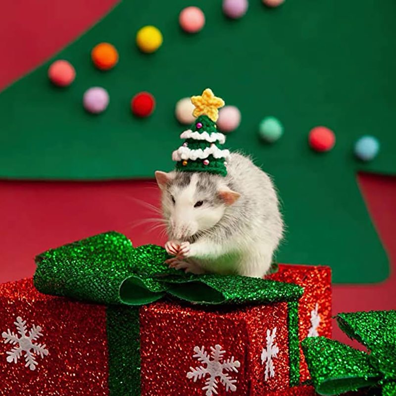 Hand Woven Pet Christmas Hat D - Santa Hat Plush review and price