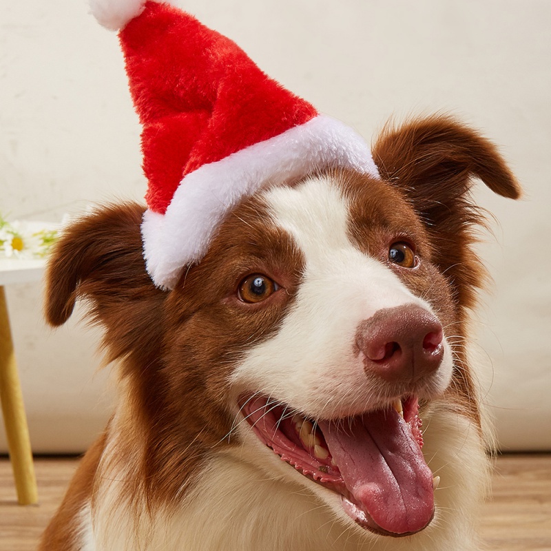 Dog Cats Hat Christmas Decorat - Santa Hat Plush review and price