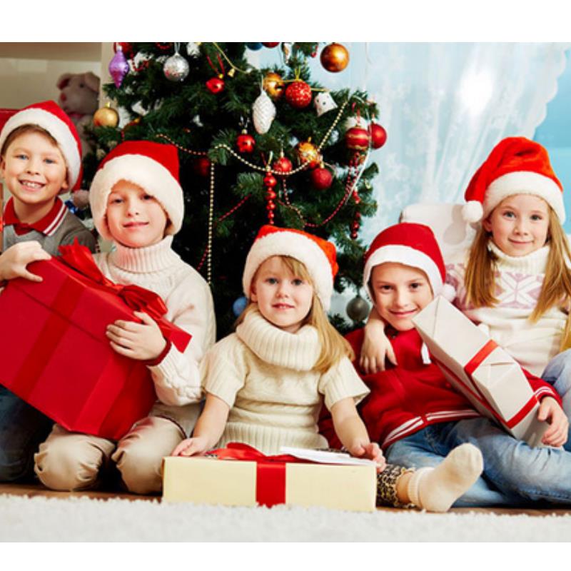 Plush Christmas Hat for Adult  - Santa Hat Plush review and price